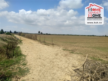 Sidi Thabet&nbsp;Chorfech&nbsp;Terrain&nbsp;Terrain agricole&nbsp;Terrain agricole guezmir � cherfech