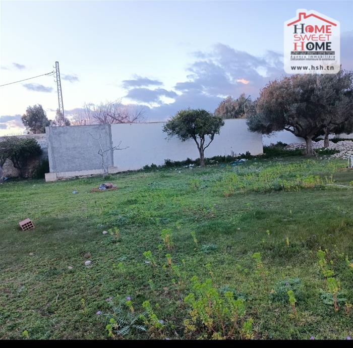 Korba&nbsp;Korba&nbsp;Terrain&nbsp;Terrain nu&nbsp;Terrain villa villora � korba