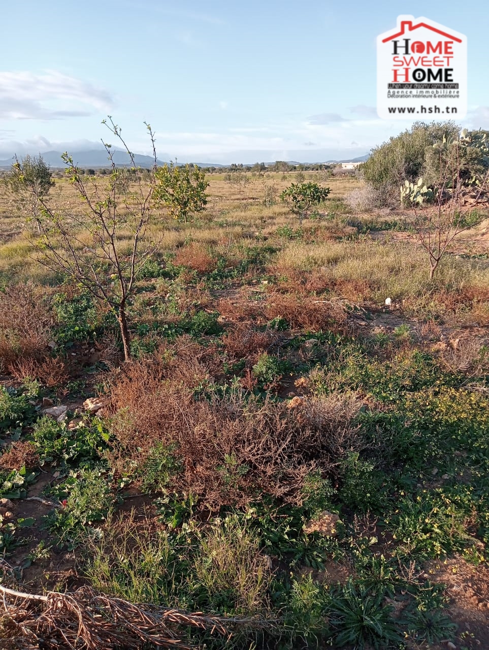 Zaghouan&nbsp;Zaghouan&nbsp;Terrain&nbsp;Terrain agricole&nbsp;Terrain agricole erraja � zaghouan