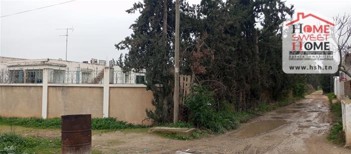 Mejez El Bab&nbsp;Mejez El Bab&nbsp;Terrain&nbsp;Terrain nu&nbsp;Terrain villa orvia � mjez el beb