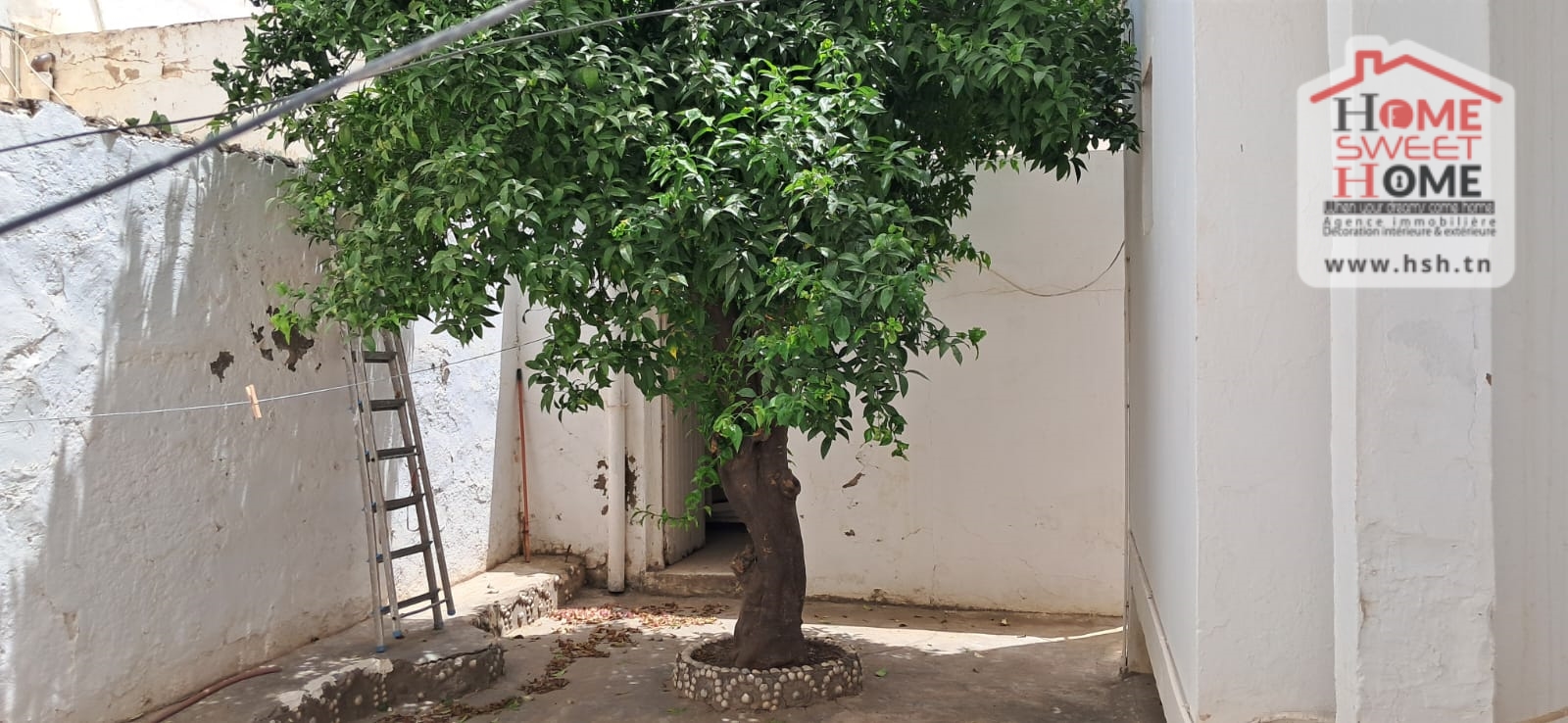 Carthage&nbsp;Salambo&nbsp;Vente&nbsp;Appart. 5 pi�ces+&nbsp;Immeuble gloria � carthage salambo