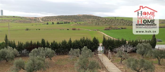 Mejez El Bab&nbsp;Mejez El Bab&nbsp;Terrain&nbsp;Terrain agricole&nbsp;Ferme ardis � mjez el beb