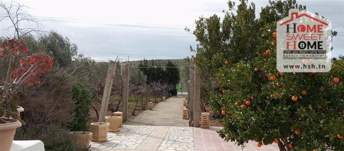 Mejez El Bab&nbsp;Mejez El Bab&nbsp;Terrain&nbsp;Terrain agricole&nbsp;Ferme ardis � mjez el beb