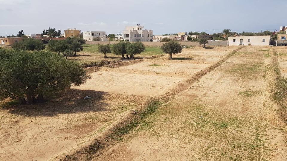 Djerba - Houmet Essouk&nbsp;Djerba &nbsp;Terrain&nbsp;Terrain nu&nbsp;Lotissement titr�