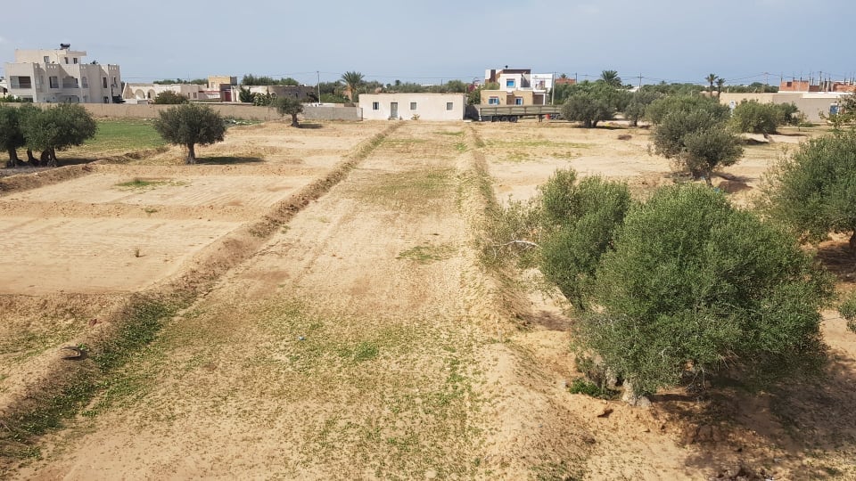 Djerba - Houmet Essouk&nbsp;Djerba &nbsp;Terrain&nbsp;Terrain nu&nbsp;Lotissement titr�