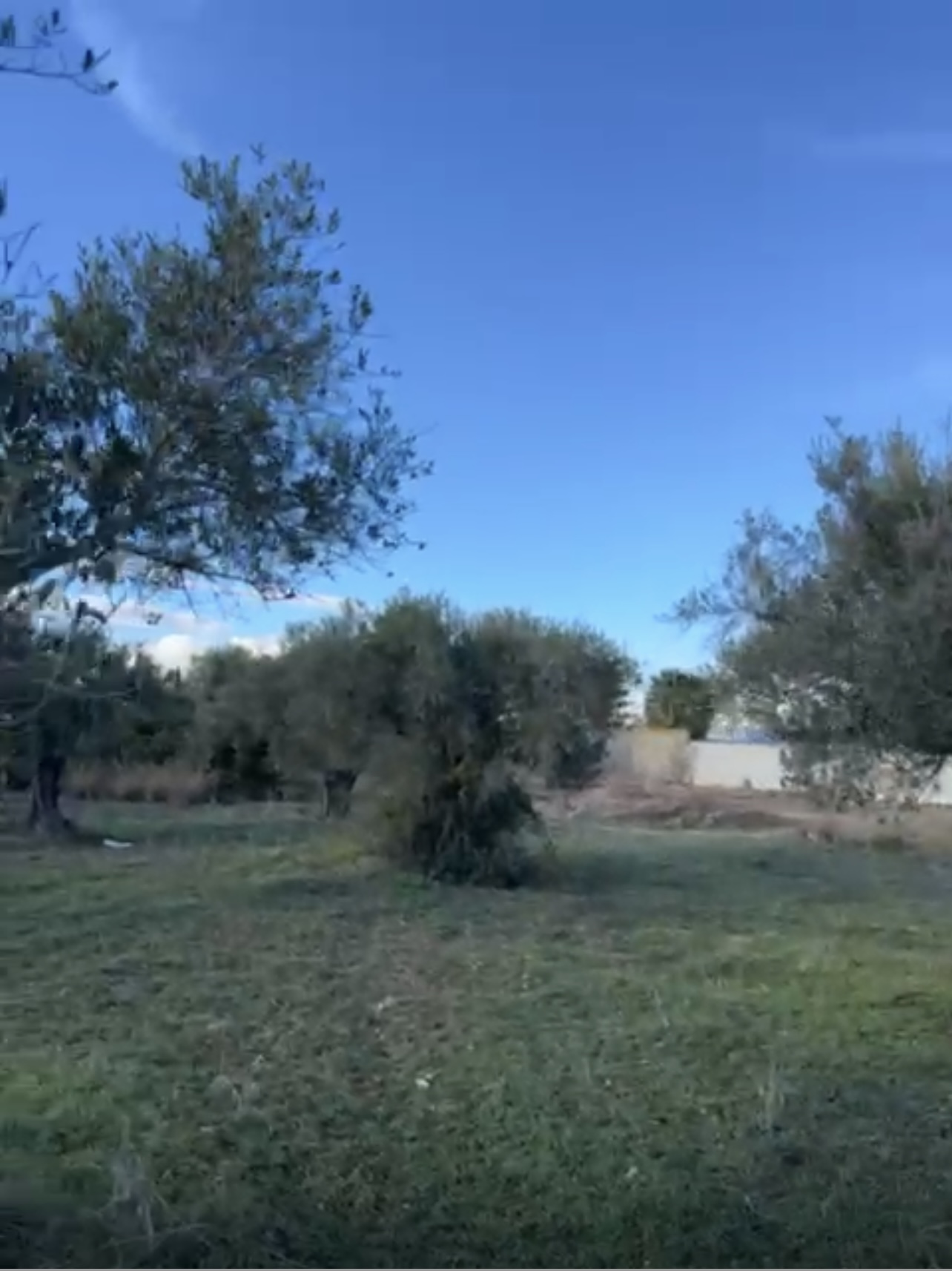 Menzel Jemil&nbsp;Menzel Abderrahman&nbsp;Terrain&nbsp;Terrain agricole&nbsp;Terrain agricole � bizerte