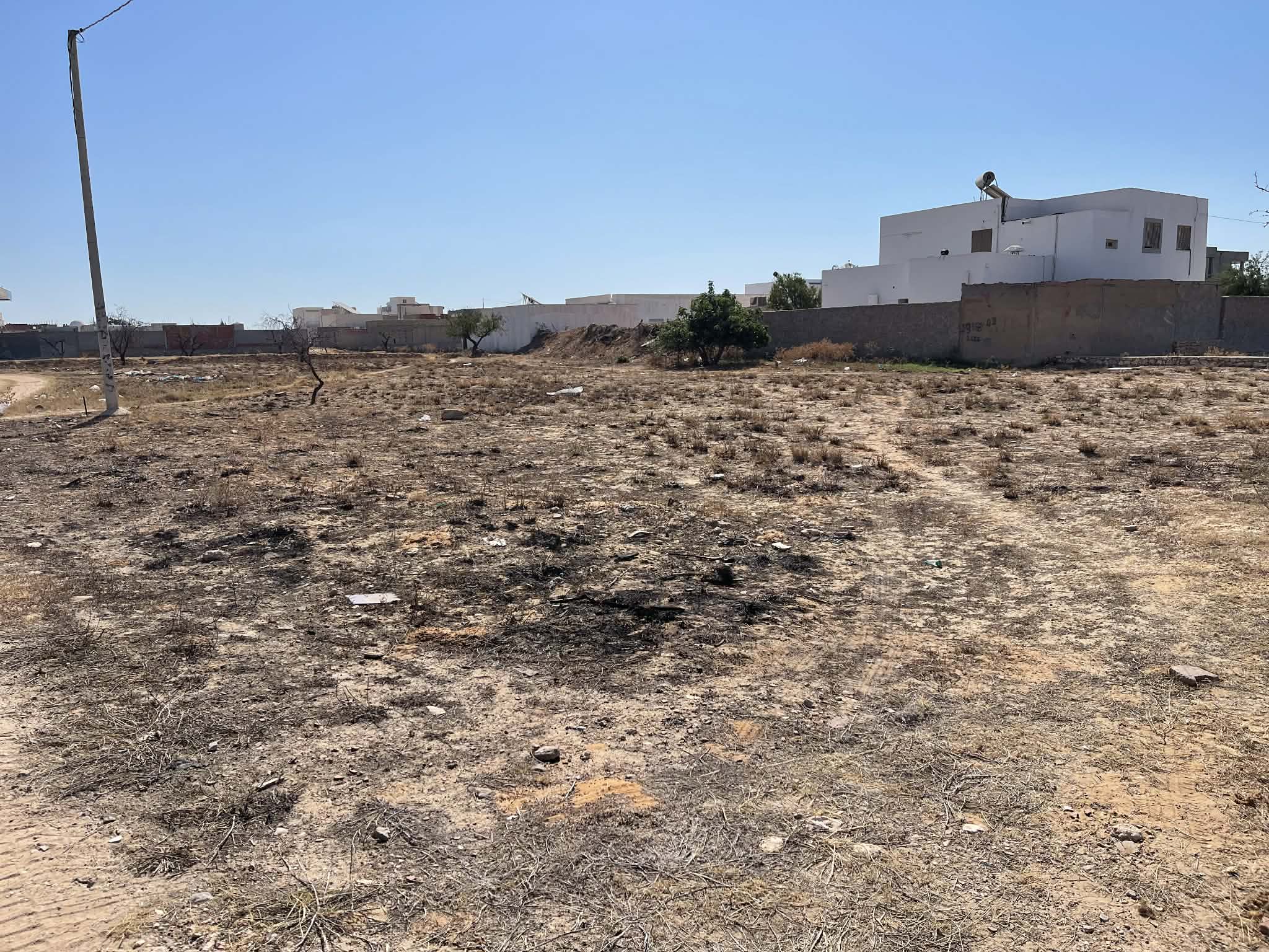 Sfax Sud&nbsp;Merkez Ouali&nbsp;Terrain&nbsp;Terrain nu&nbsp;Terrain � lafrane