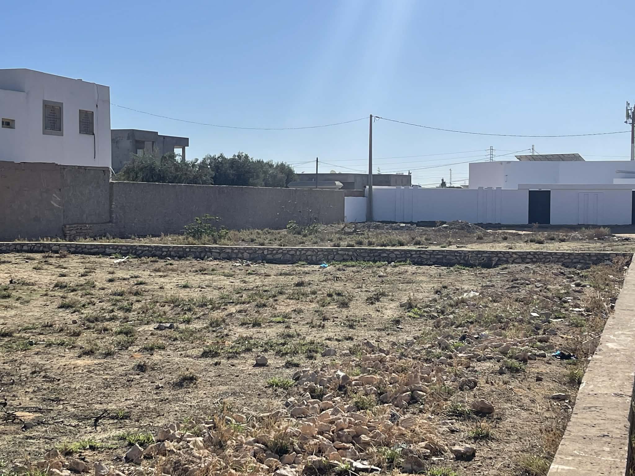 Sfax Sud&nbsp;Merkez Ouali&nbsp;Terrain&nbsp;Terrain nu&nbsp;Bonne opprtunit� � lafrane