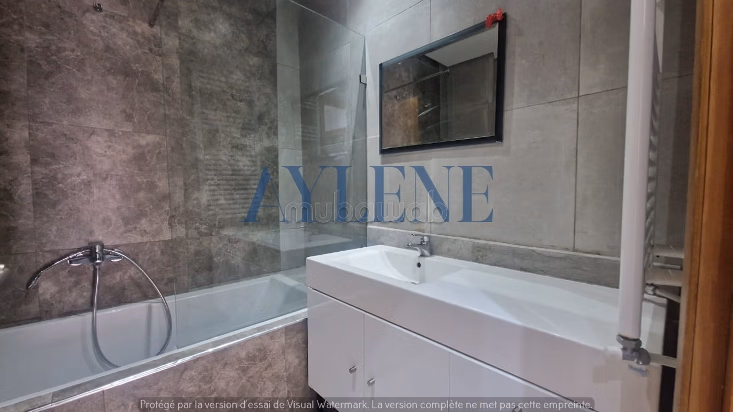 Ain Zaghouan&nbsp;Jardins de Carthage&nbsp;Location&nbsp;Maisons&nbsp;Villa s4 avec jardin