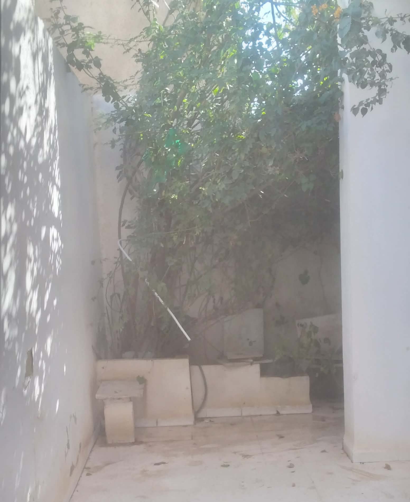 Raoued&nbsp;Cite El Ghazala 1&nbsp;Location&nbsp;Appart. 2 pi�ces&nbsp;Excellent studio la gazele pr�s p�l technog tijari