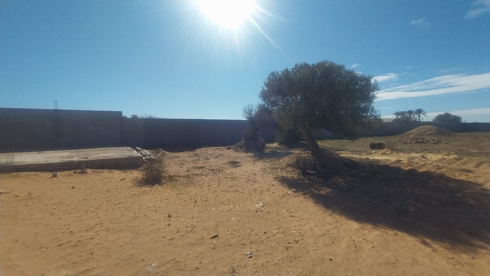Djerba - Midoun&nbsp;Arkou&nbsp;Terrain&nbsp;Terrain agricole&nbsp;Terrain � arkou