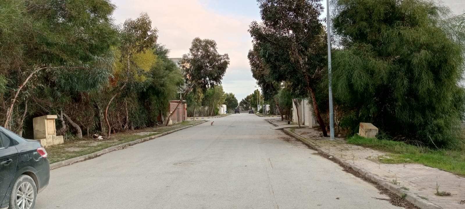 Raoued&nbsp;Raoued&nbsp;Terrain&nbsp;Terrain nu&nbsp;Terrain viabilis� � lotissement les flamants roses