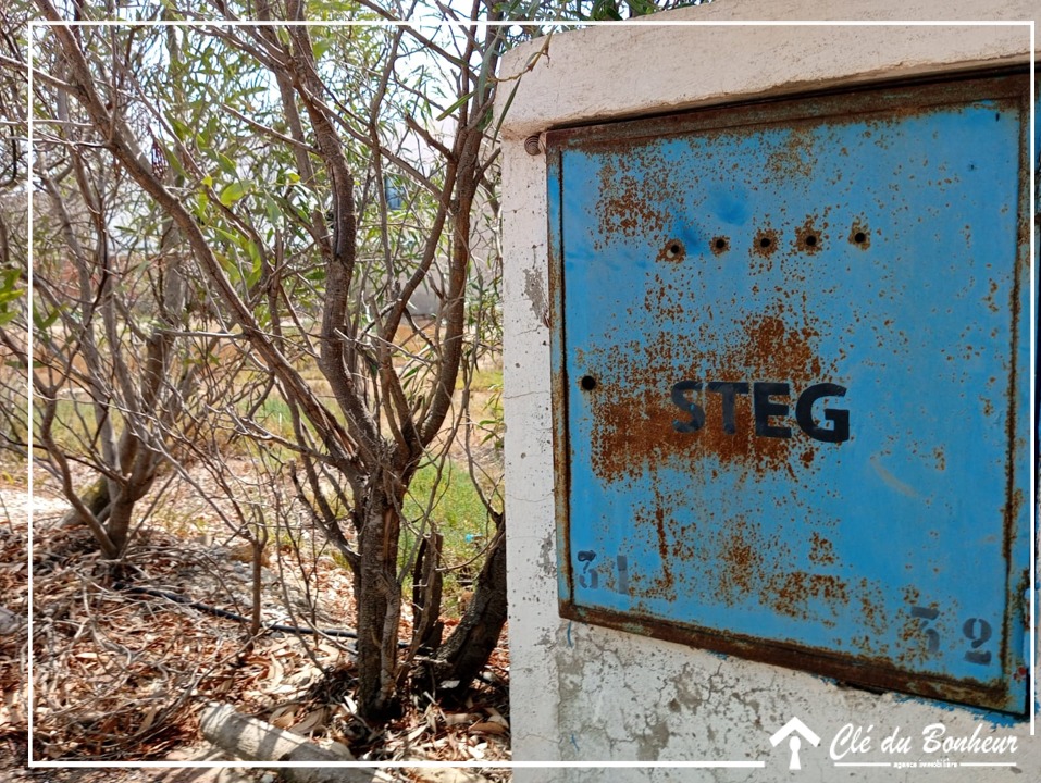 Raoued&nbsp;Raoued&nbsp;Terrain&nbsp;Terrain nu&nbsp;Terrain jumel� d'un seul cot�