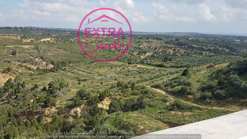 Nabeul&nbsp;Henchir El Haouaria&nbsp;Vente&nbsp;Maisons&nbsp;1er maison de campagne a nabeul