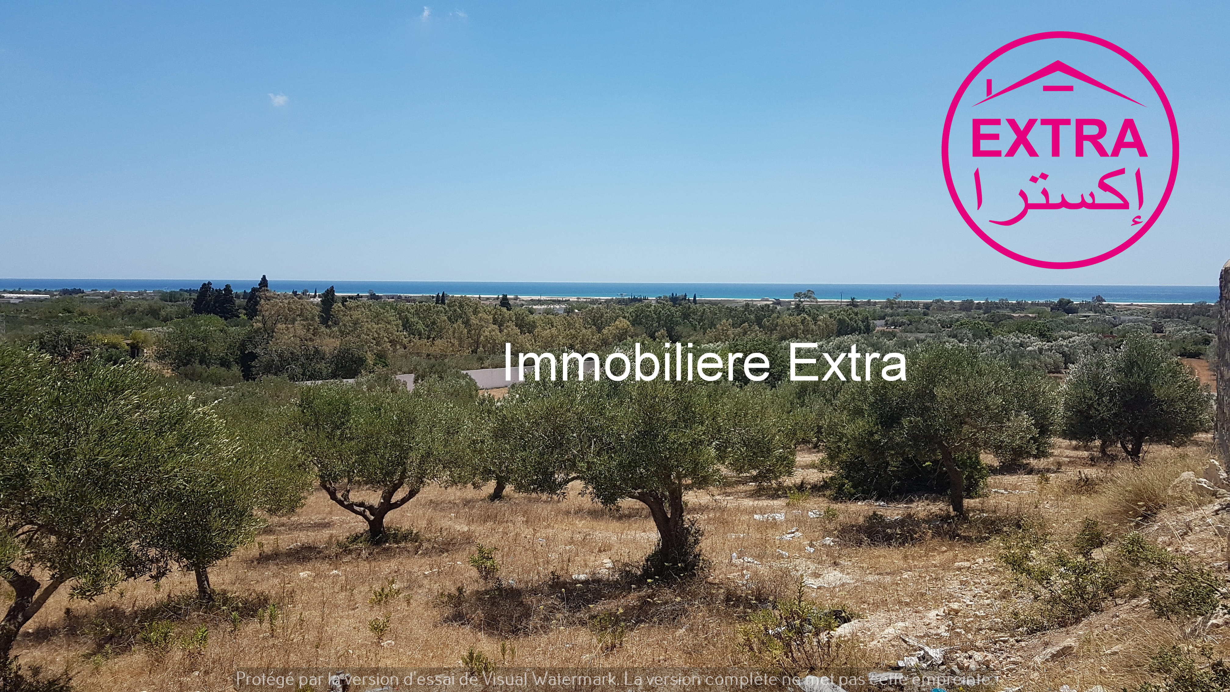 Beni Khiar&nbsp;El Maamoura&nbsp;Terrain&nbsp;Terrain agricole&nbsp;8eme terrain � dharoufa