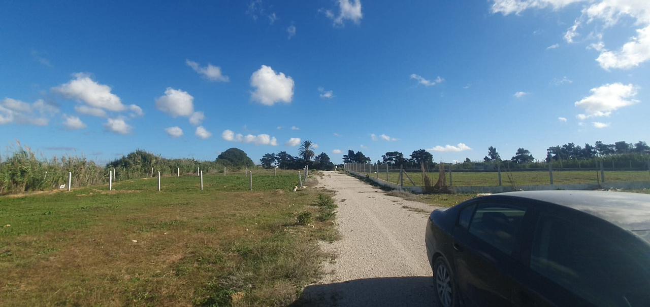Kelibia&nbsp;Kelibia&nbsp;Terrain&nbsp;Terrain nu&nbsp;200m2 a tomzrate kelibia seulement a 24000 dt
