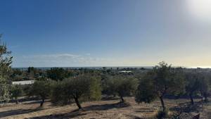 Beni Khiar&nbsp;El Maamoura&nbsp;Vente&nbsp;Surfaces&nbsp;A  terrain 1470m vue sur mer  ref1390a