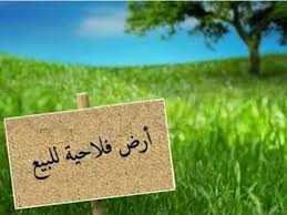 Hammamet&nbsp;Hammamet&nbsp;Terrain&nbsp;Terrain agricole&nbsp;Opportunite rare terrain agricole 10 000 m