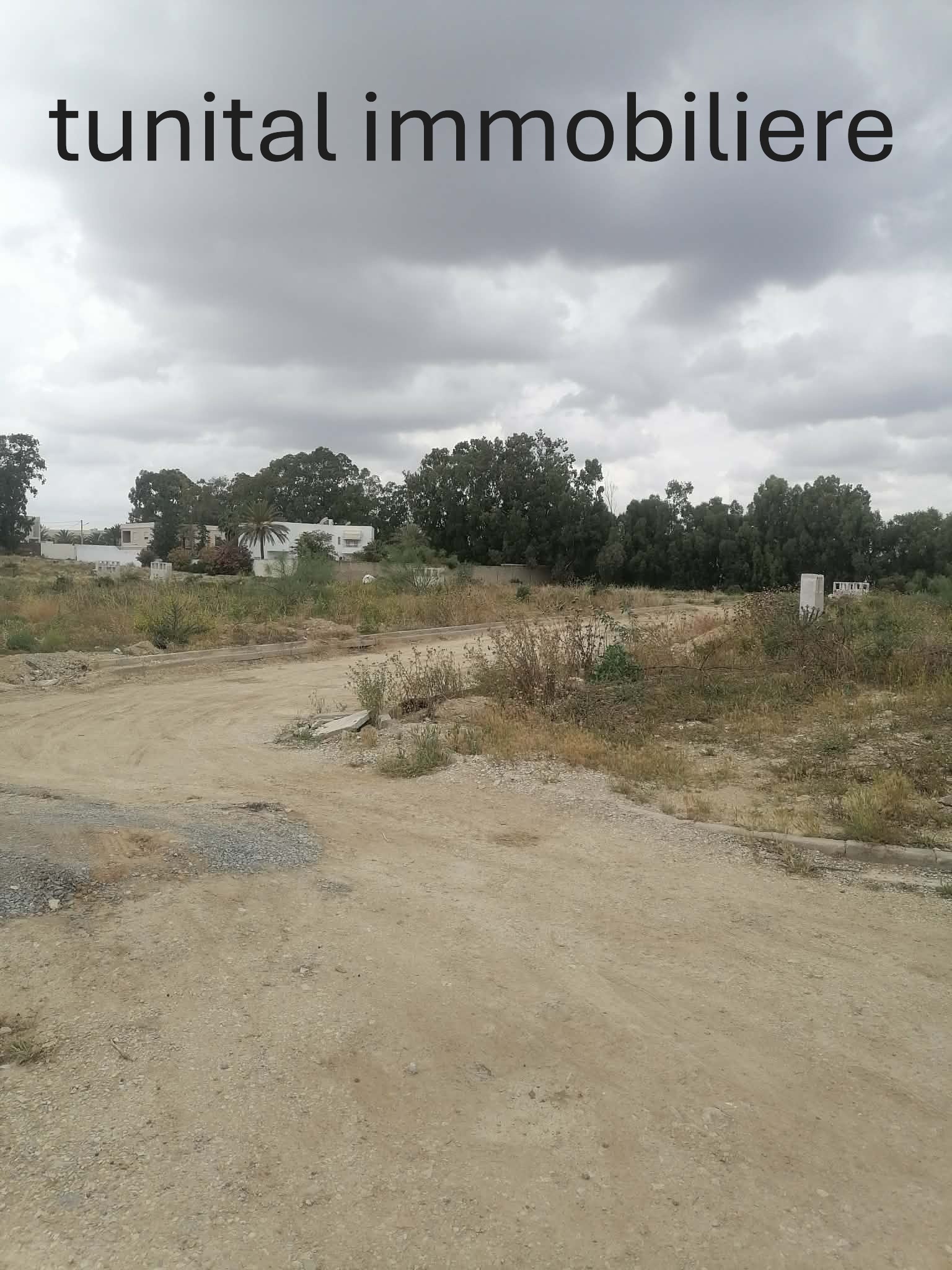 La Soukra&nbsp;Chotrana 3&nbsp;Terrain&nbsp;Terrain nu&nbsp;Lots de terrain dans un lotissement � m�nag�