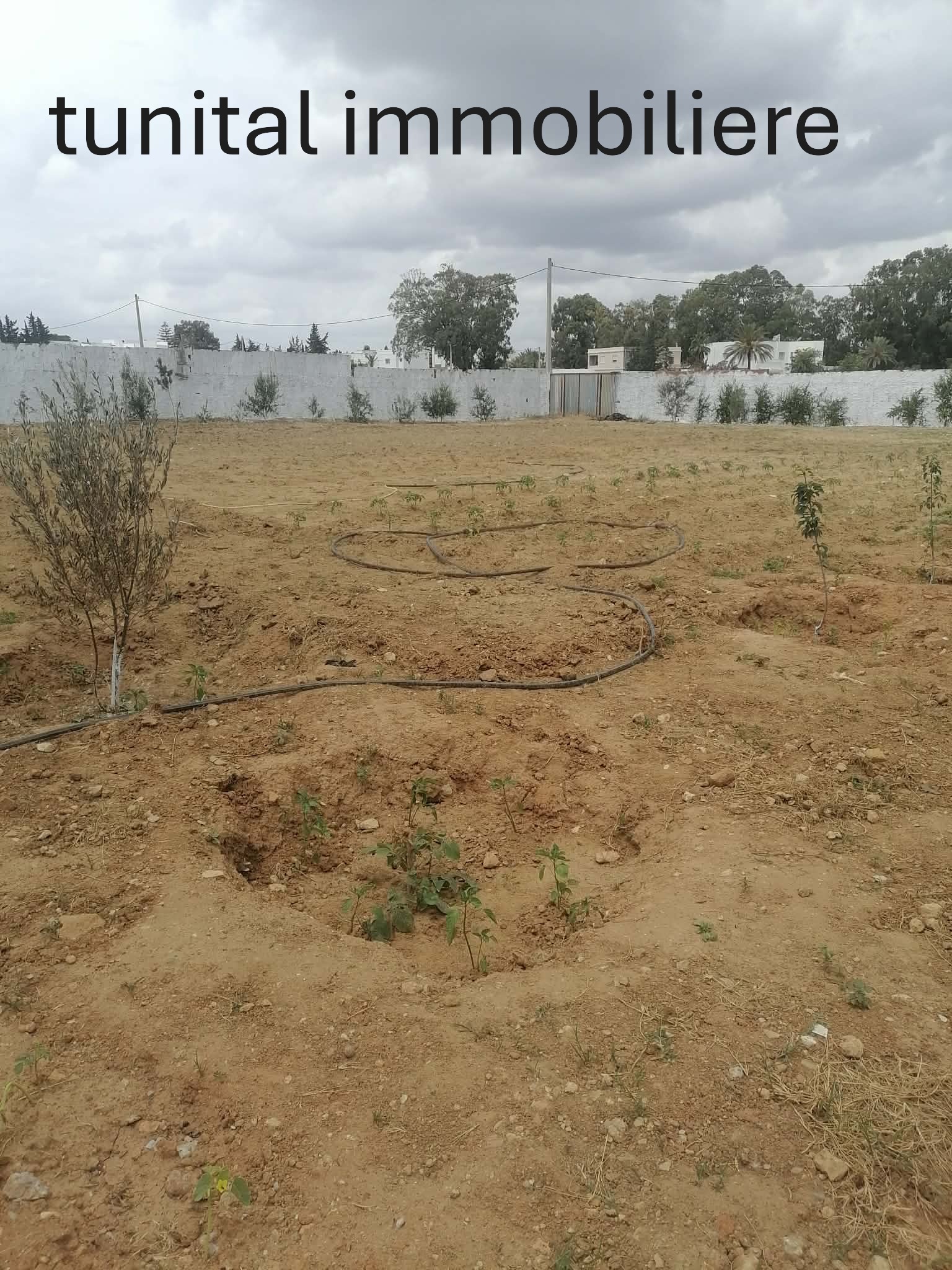 La Soukra&nbsp;Chotrana 3&nbsp;Terrain&nbsp;Terrain nu&nbsp;Lots de terrain dans un lotissement � m�nag�