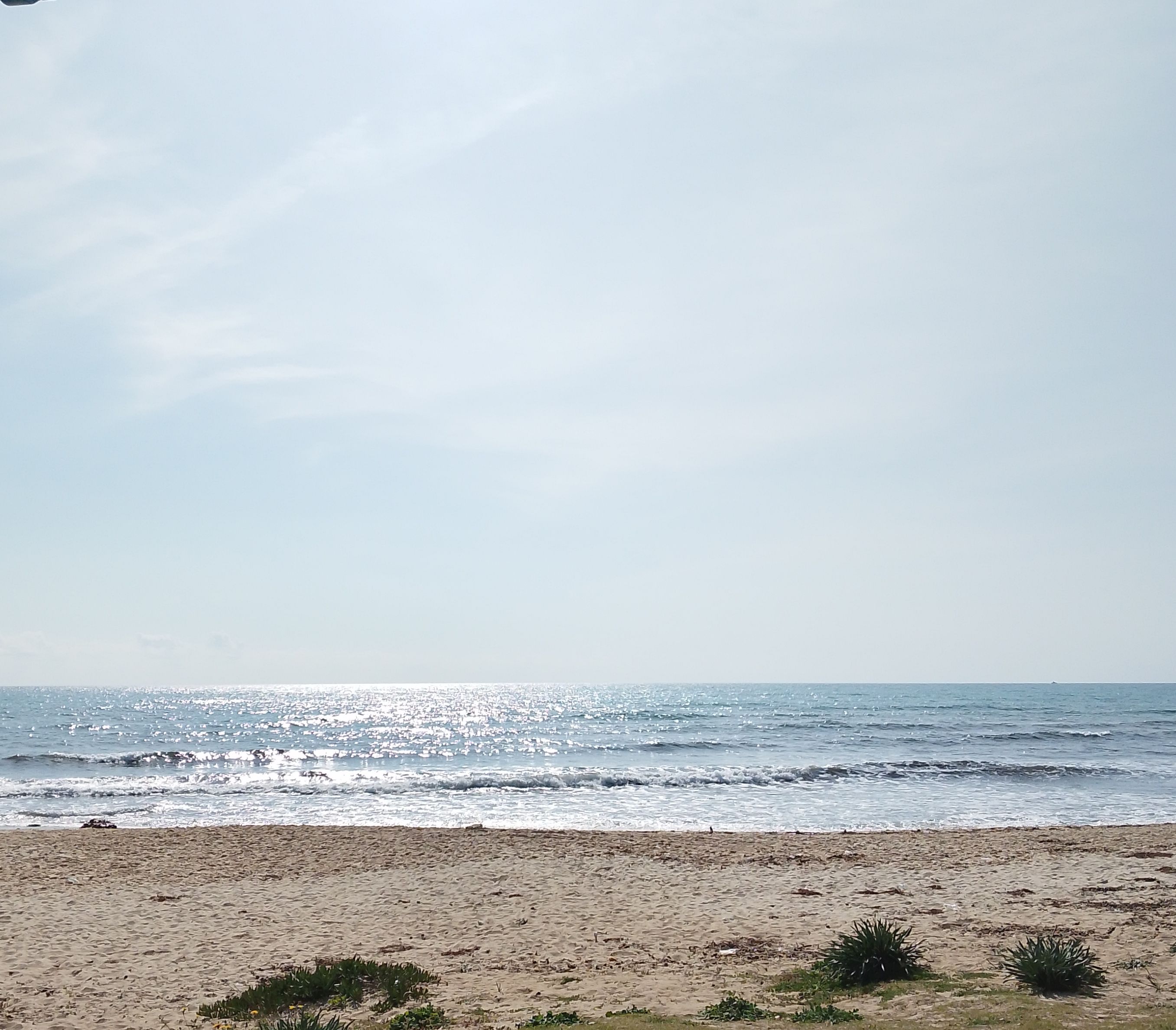 Hammamet&nbsp;Hammamet&nbsp;Terrain&nbsp;Terrain nu&nbsp;Terrain � hammamet sud