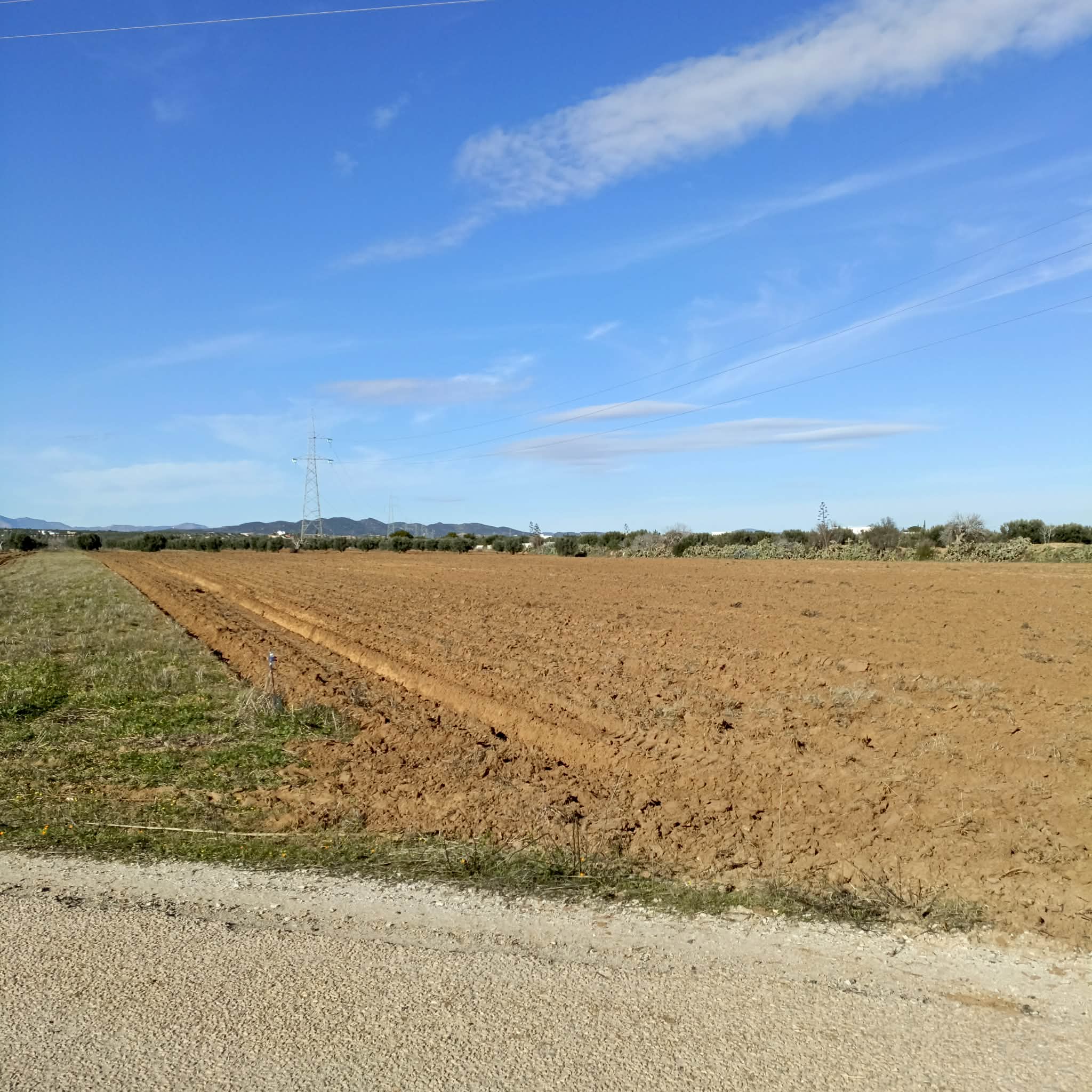 Hammamet&nbsp;Hammamet&nbsp;Terrain&nbsp;Terrain nu&nbsp;Av terrain 10500m sur la route � bouficha