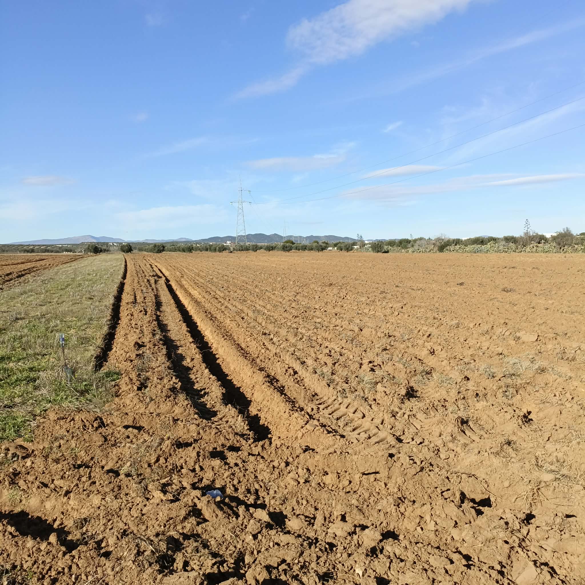 Hammamet&nbsp;Hammamet&nbsp;Terrain&nbsp;Terrain nu&nbsp;Av terrain 10500m sur la route � bouficha