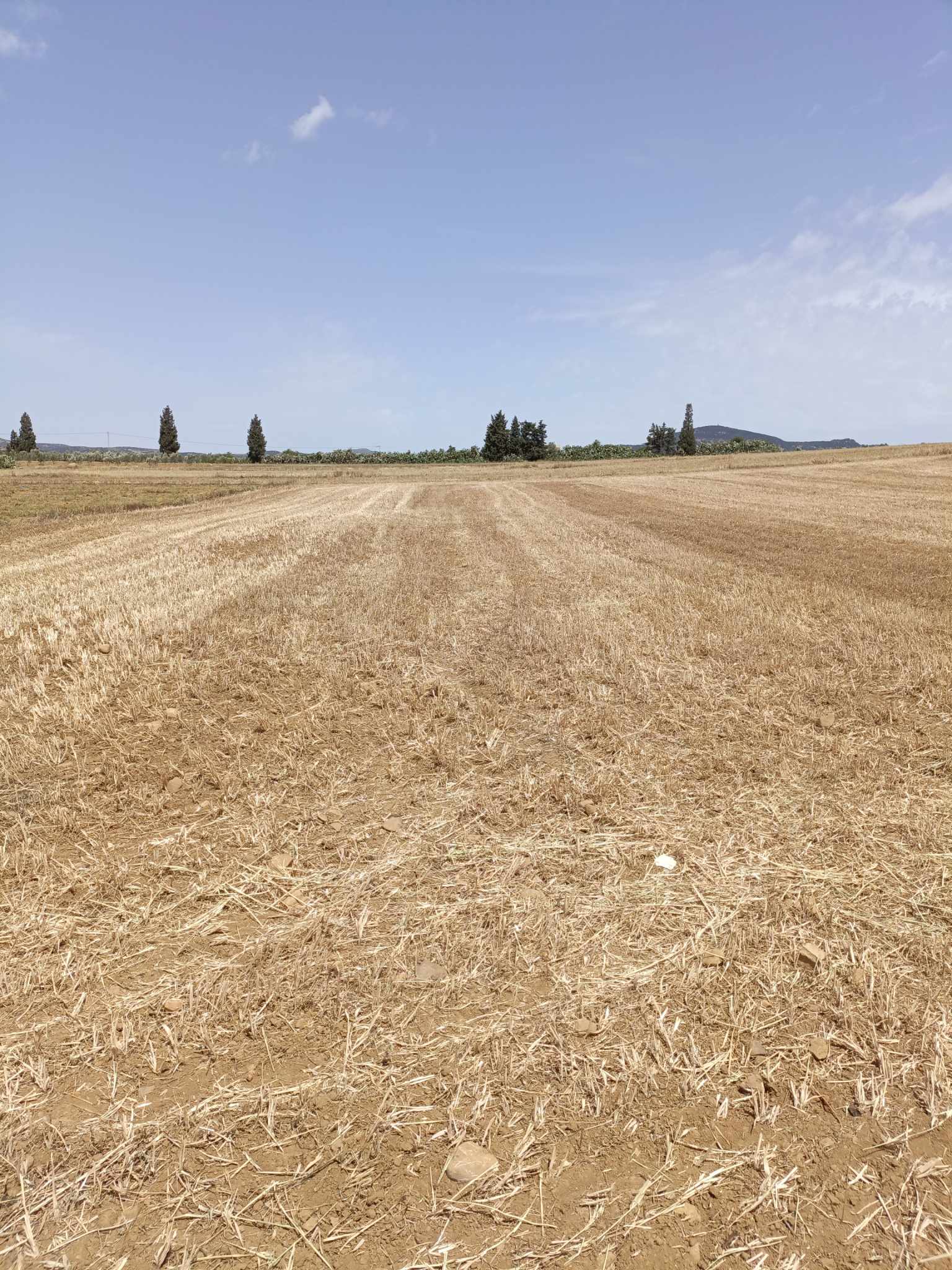 Hammamet&nbsp;Hammamet&nbsp;Terrain&nbsp;Terrain nu&nbsp;Av terrain 4900m pas loin de hammamet yasmine