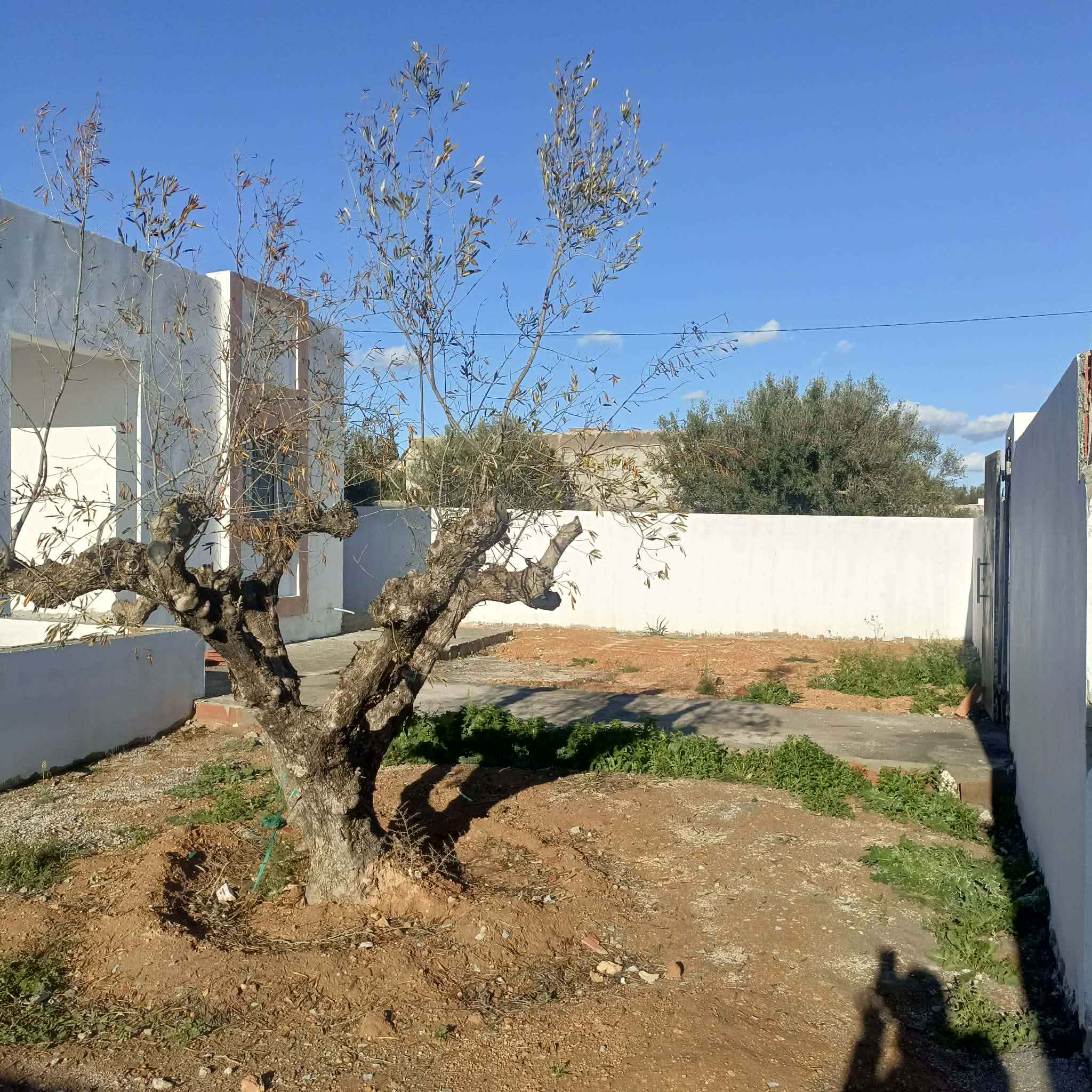 Hammamet&nbsp;Hammamet&nbsp;Vente&nbsp;Maisons&nbsp;Av villa 400m � hammamet sud