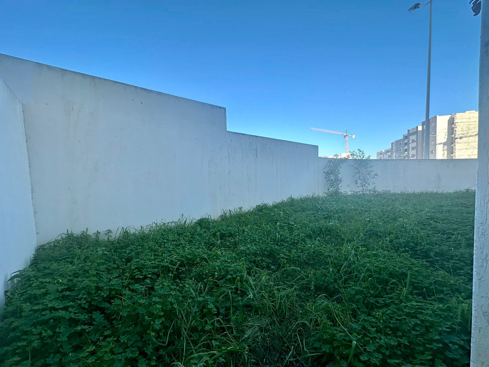 Ariana Ville&nbsp;Cite Ennasr 2&nbsp;Location&nbsp;Appart. 3 pi�ces&nbsp;Appartement s2 hs avec jardin � cit� ennasr