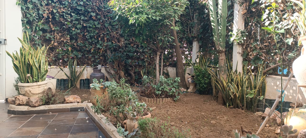 Ariana Ville&nbsp;El Menzah 6&nbsp;Vente&nbsp;Duplex&nbsp;Triplex r�nov� aux uv4 menzah 6