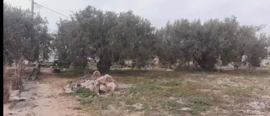 Djerba - Midoun&nbsp;Midoun&nbsp;Terrain&nbsp;Terrain nu&nbsp;Terrain avec permis de construction