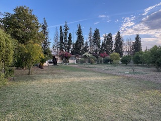 Mornag&nbsp;Ouzra&nbsp;Terrain&nbsp;Terrain agricole&nbsp;Senia de 28 000 m2