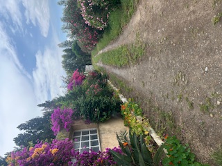 Mornag&nbsp;Ouzra&nbsp;Terrain&nbsp;Terrain agricole&nbsp;Senia de 28 000 m2