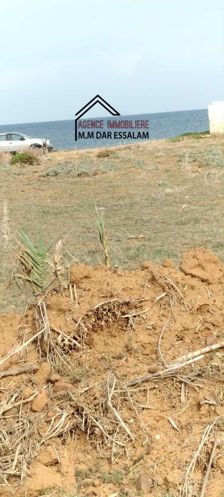 El Haouaria&nbsp;El Haouaria&nbsp;Terrain&nbsp;Terrain nu&nbsp;Terrain pr�s de la mer offre sp�ciale