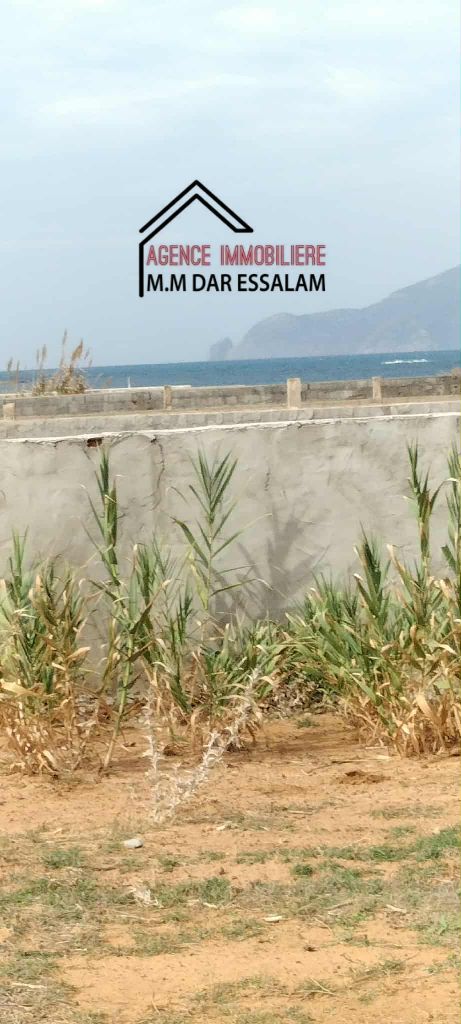 El Haouaria&nbsp;El Haouaria&nbsp;Terrain&nbsp;Terrain nu&nbsp;Terrain pr�s de la mer offre sp�ciale