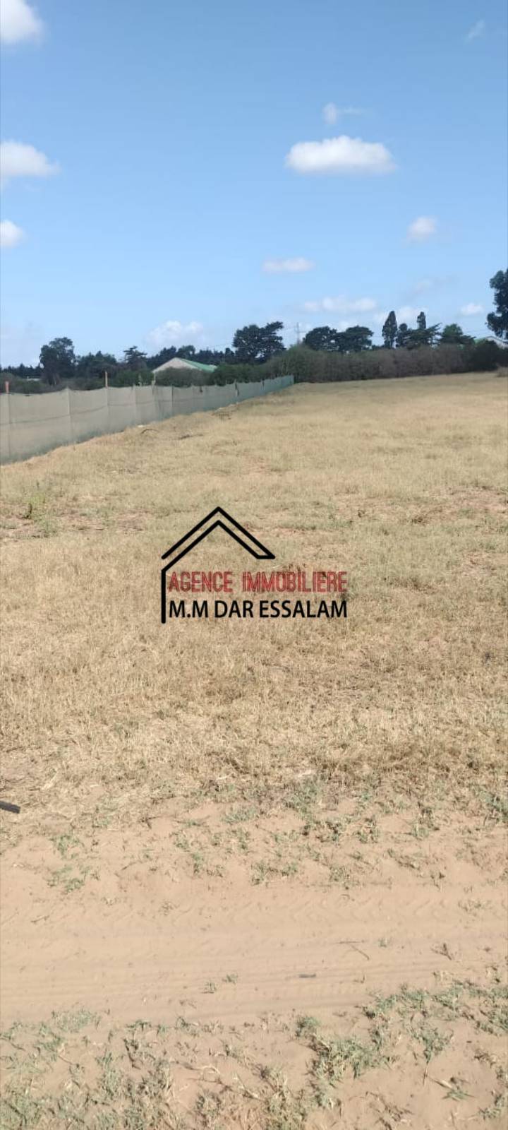 Kelibia&nbsp;Dar Allouche&nbsp;Terrain&nbsp;Terrain agricole&nbsp;Terrain pr�s de la route principal