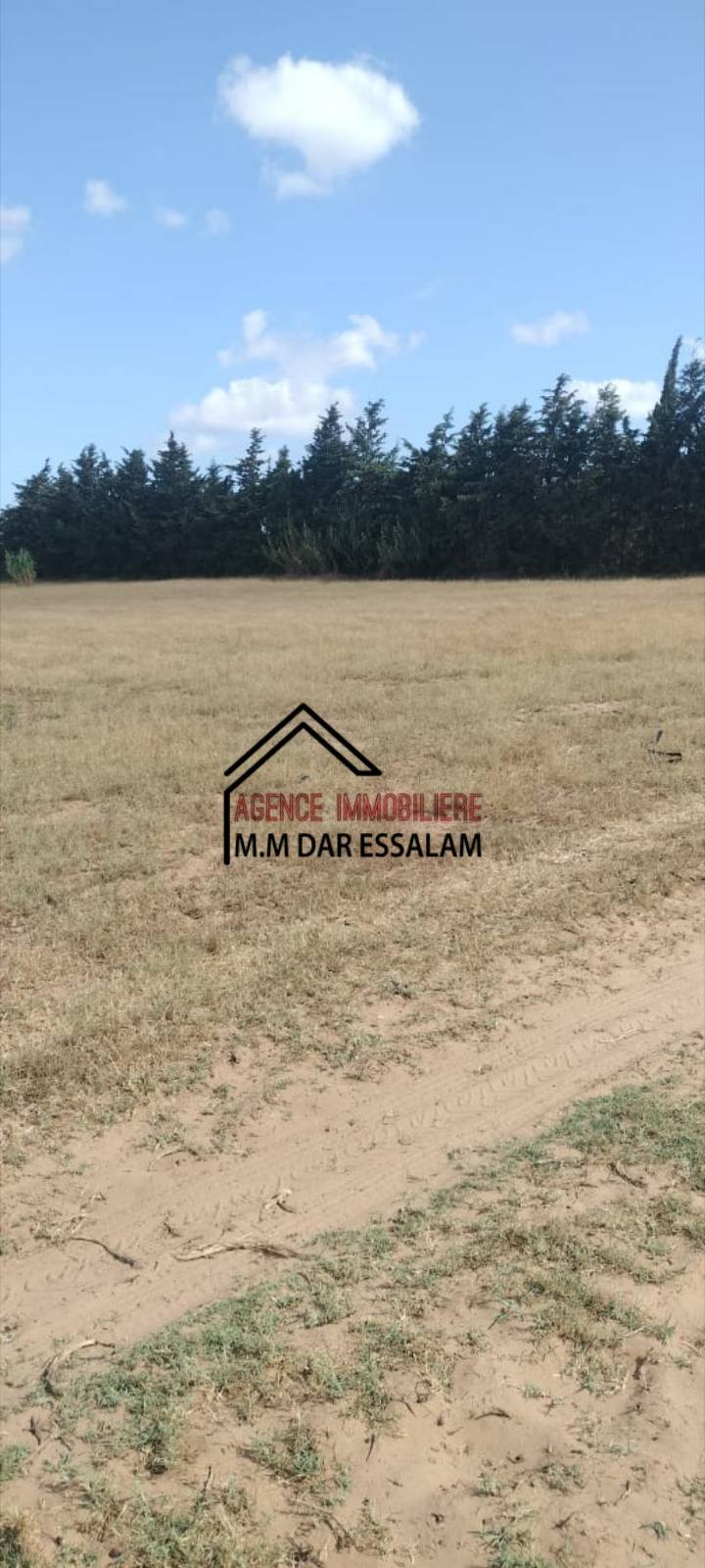 Kelibia&nbsp;Dar Allouche&nbsp;Terrain&nbsp;Terrain agricole&nbsp;Terrain pr�s de la route principal