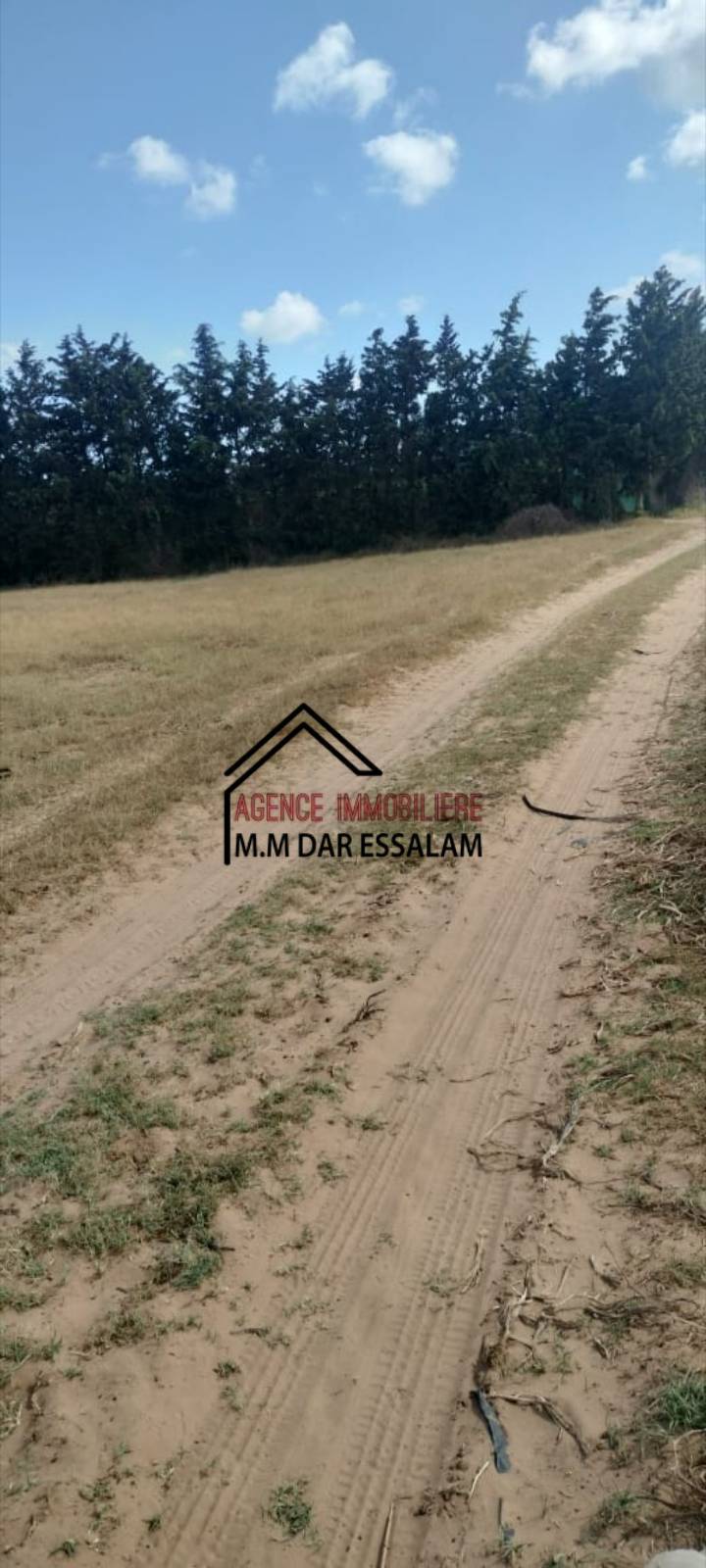 Kelibia&nbsp;Dar Allouche&nbsp;Terrain&nbsp;Terrain agricole&nbsp;Terrain pr�s de la route principal