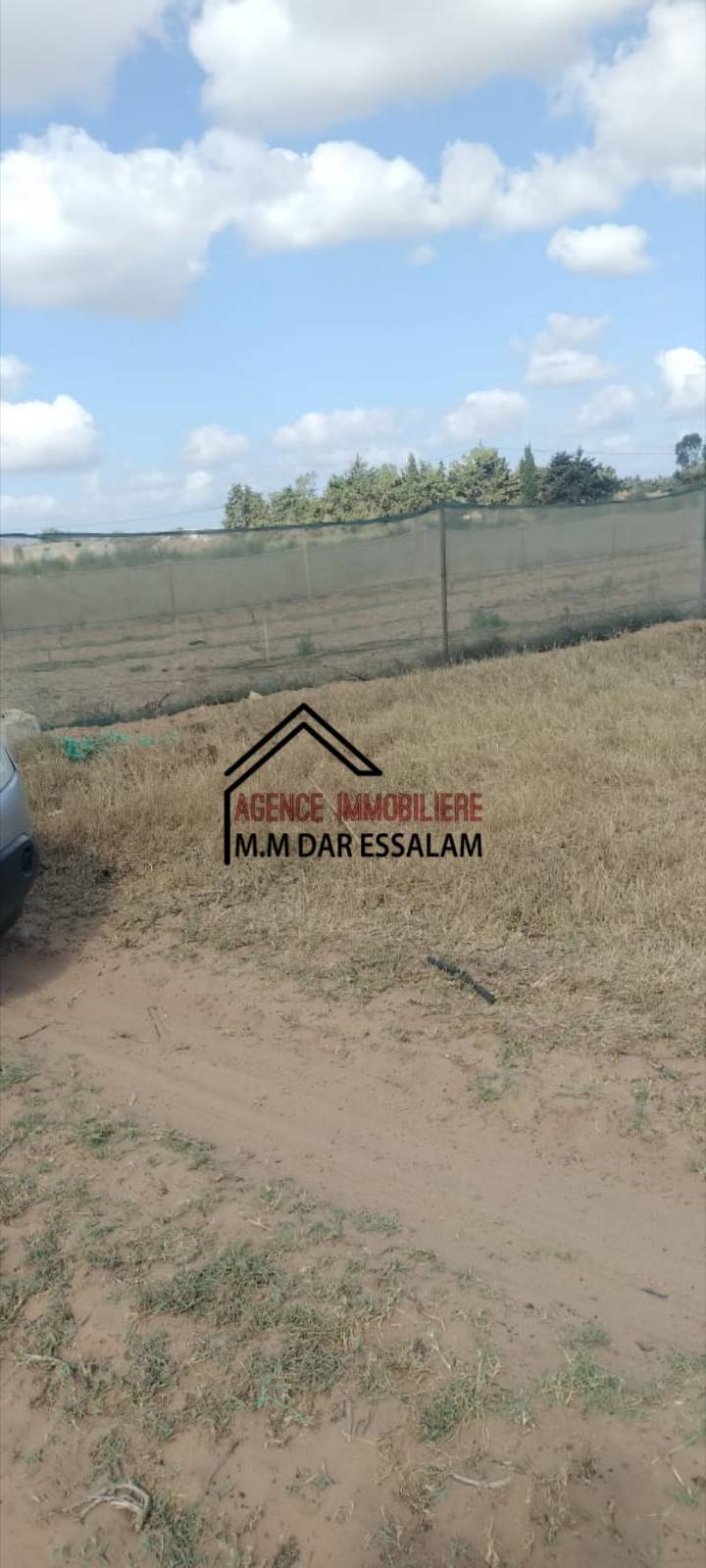 Kelibia&nbsp;Dar Allouche&nbsp;Terrain&nbsp;Terrain agricole&nbsp;Terrain pr�s de la route principal