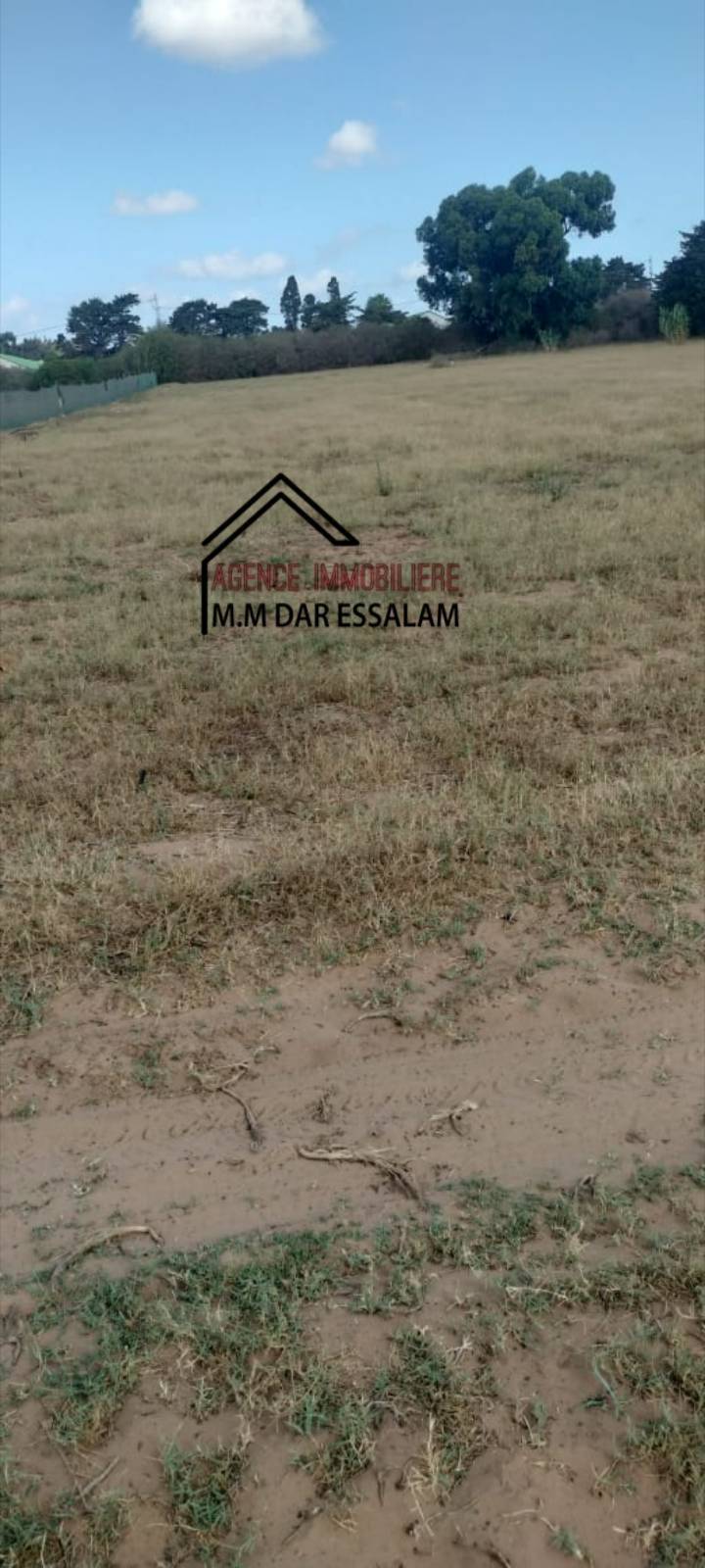 Kelibia&nbsp;Dar Allouche&nbsp;Terrain&nbsp;Terrain agricole&nbsp;Terrain pr�s de la route principal