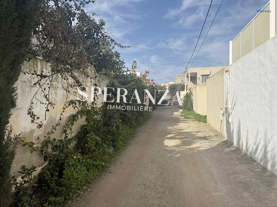 Hammamet&nbsp;Hammamet&nbsp;Vente&nbsp;Surfaces&nbsp;Terrain sacha