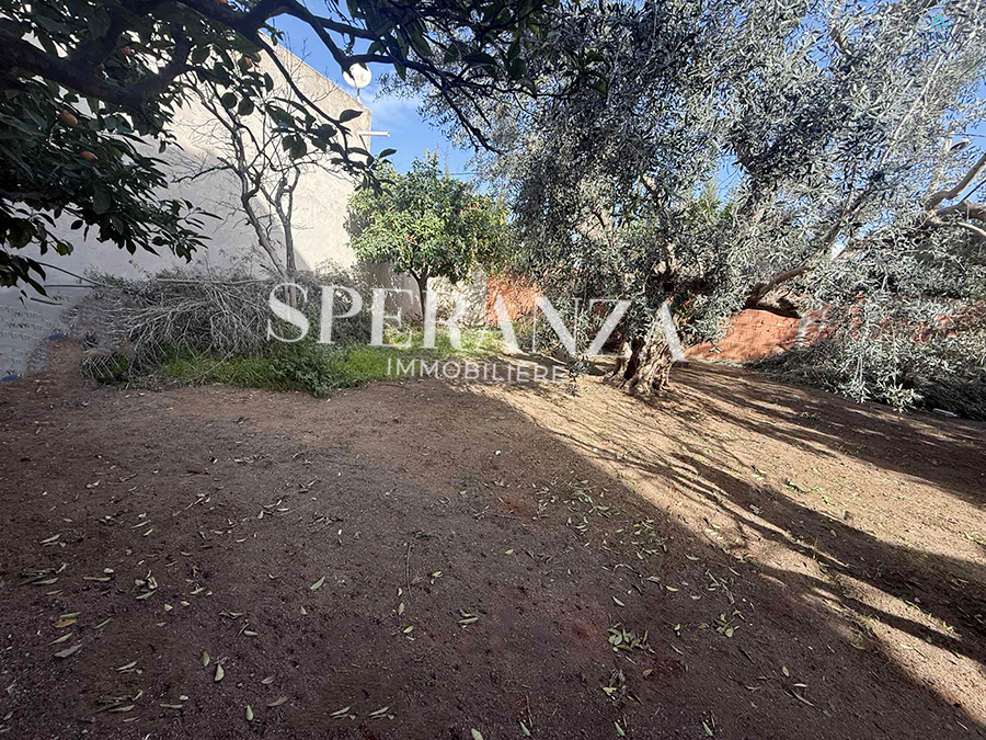 Hammamet&nbsp;Hammamet&nbsp;Vente&nbsp;Surfaces&nbsp;Terrain sacha