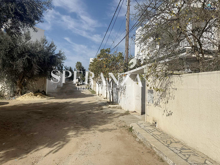 Hammamet&nbsp;Hammamet&nbsp;Vente&nbsp;Surfaces&nbsp;Terrain sacha