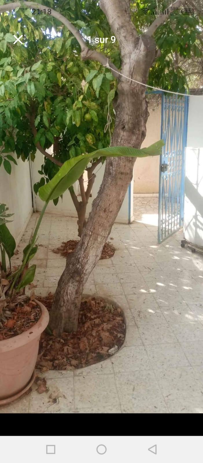 El Menzah&nbsp;El Menzah 9&nbsp;Location&nbsp;Appart. 1 pi�ce&nbsp;S1 meubl� a menzah9