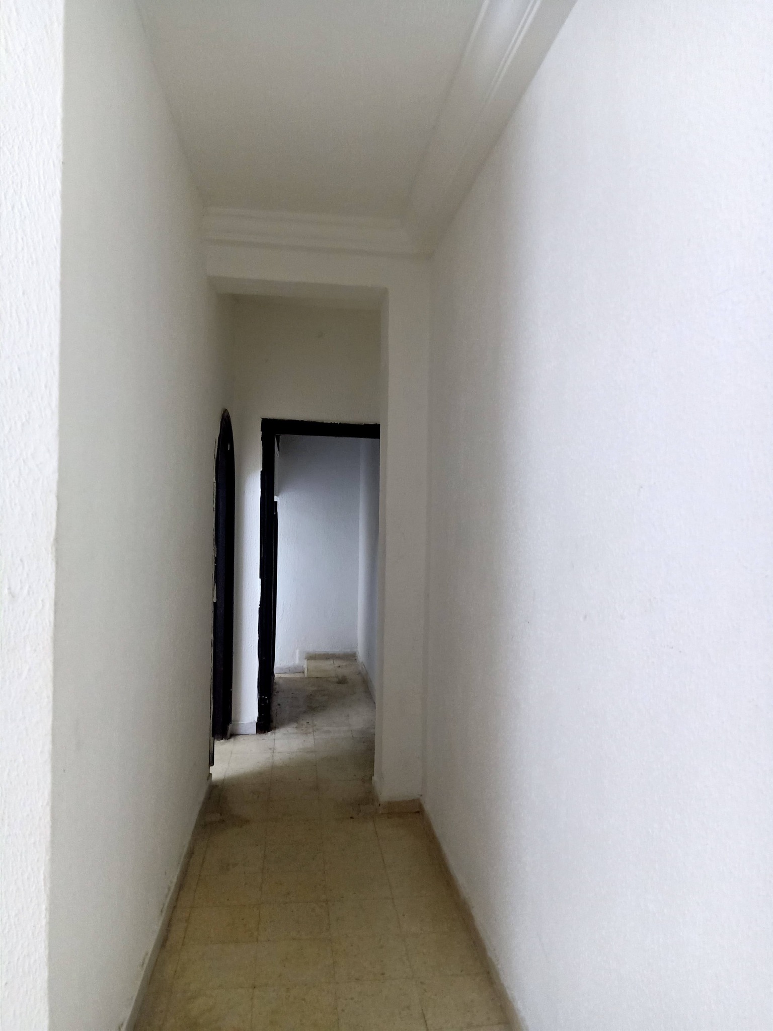 El Menzah&nbsp;El Menzah 9&nbsp;Location&nbsp;Appart. 1 pi�ce&nbsp;Jolie s1 a manzah 9