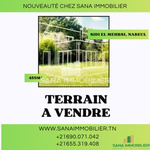 Nabeul&nbsp;Cite El Mahrsi 3&nbsp;Vente&nbsp;Surfaces&nbsp;A  terrain ref453a