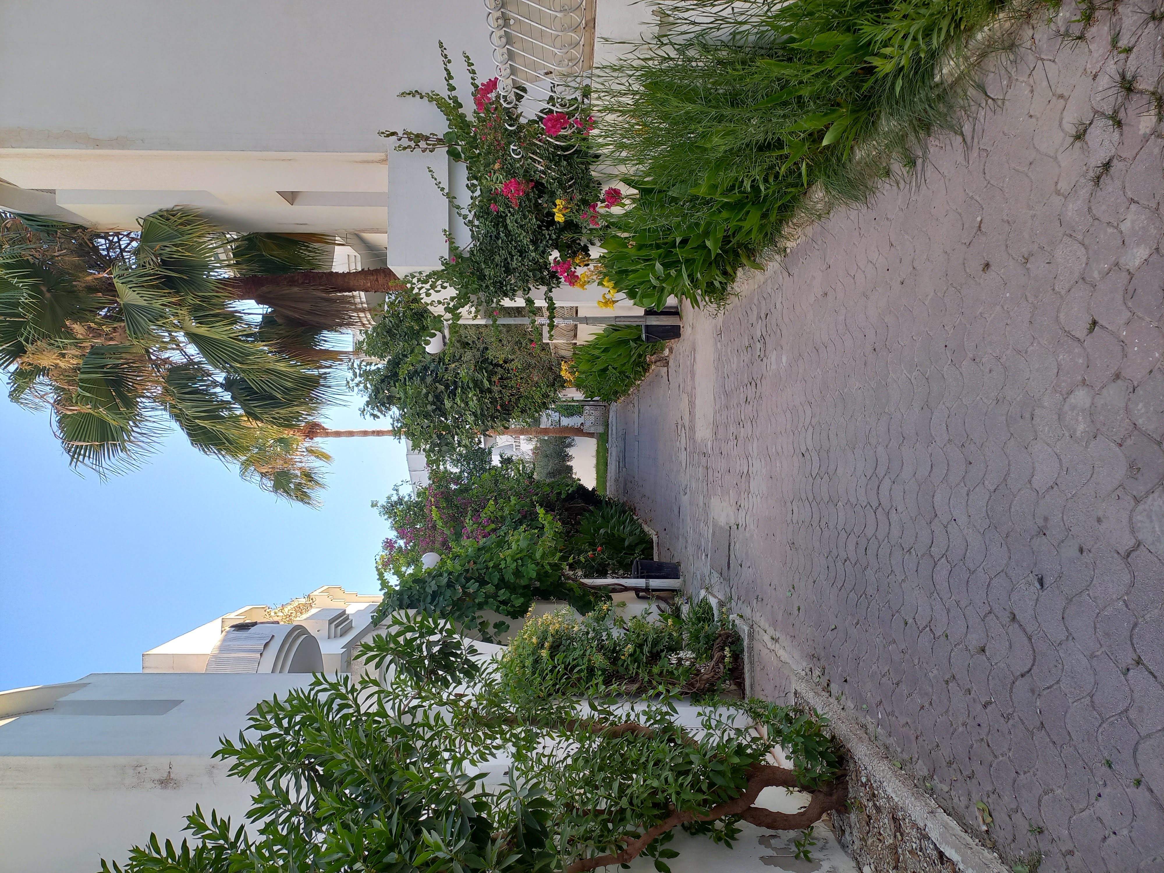 Ain Zaghouan&nbsp;Ain Zaghouan&nbsp;Location&nbsp;Appart. 1 pi�ce&nbsp;S plus 1 � ain zaghouan au 2�me �tage