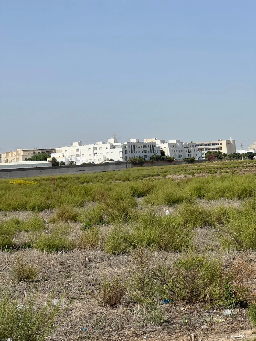 La Marsa&nbsp;Sidi Daoud&nbsp;Terrain&nbsp;Terrain nu&nbsp;Belle opportunit� de 800 m�tre carr�