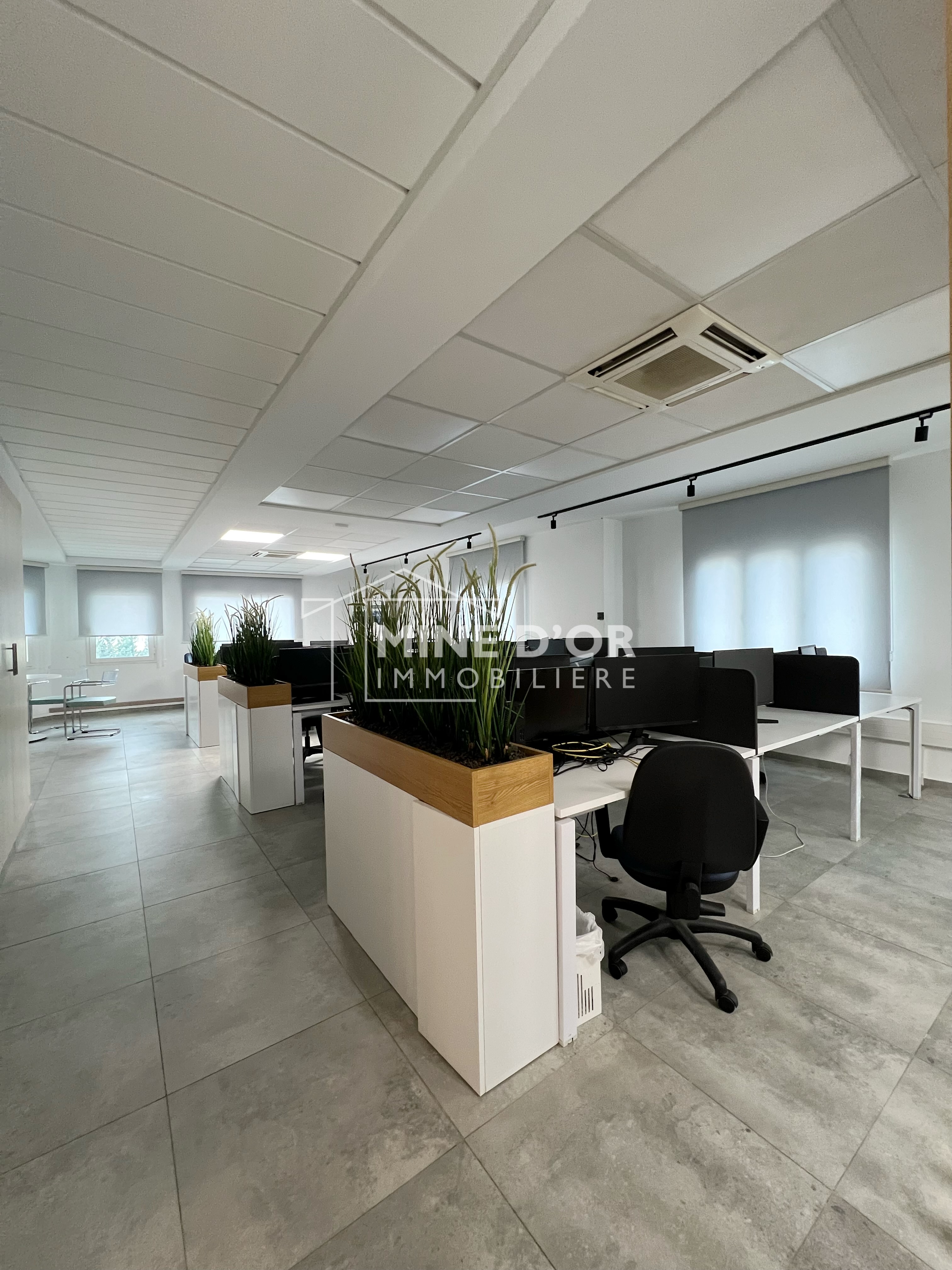 Cite El Khadra&nbsp;Zone urbaine nord&nbsp;Bureaux & Commerces&nbsp;Bureau&nbsp;Al plateau totalement r�nov� au centre urbain